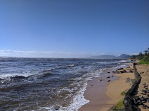 Sheraton Kauai Coconut Beach: the beach/coastline