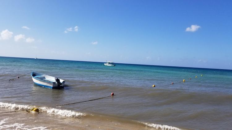 Playa Palancar, Cozumel on January 1, 2019