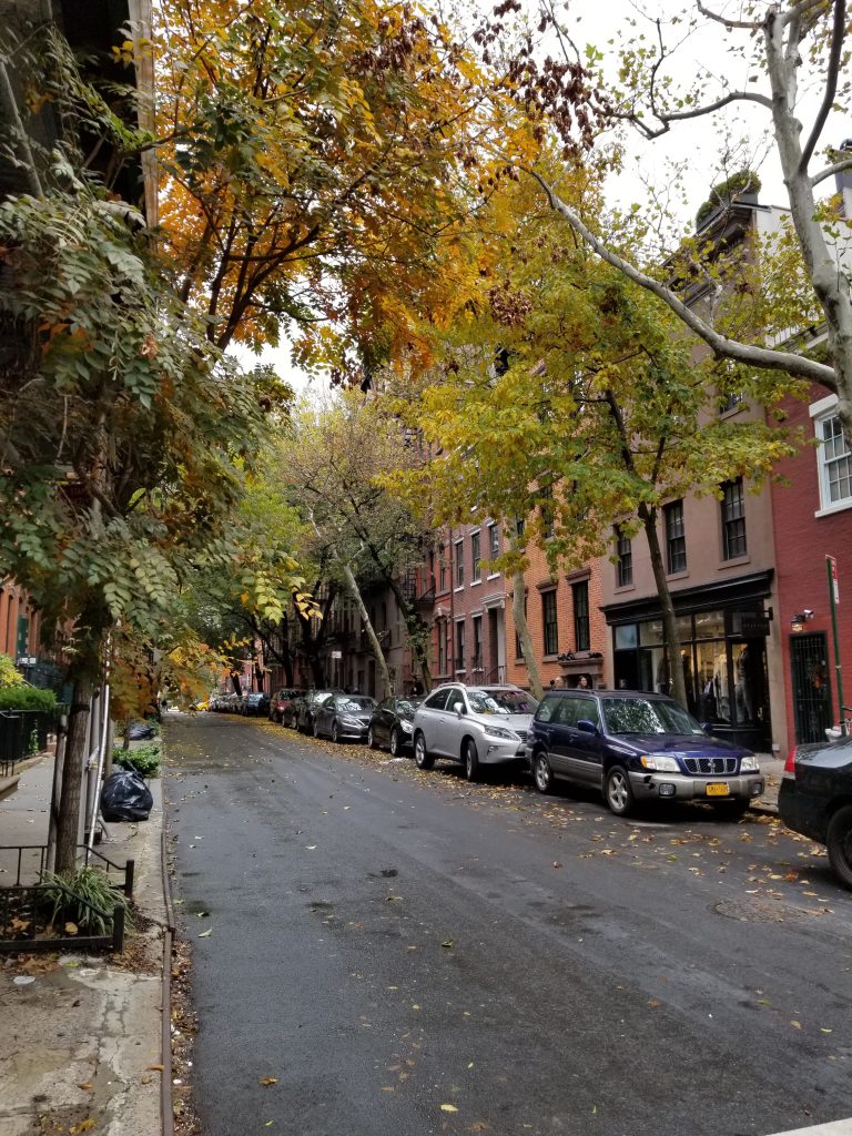 A street in Greenwich Village