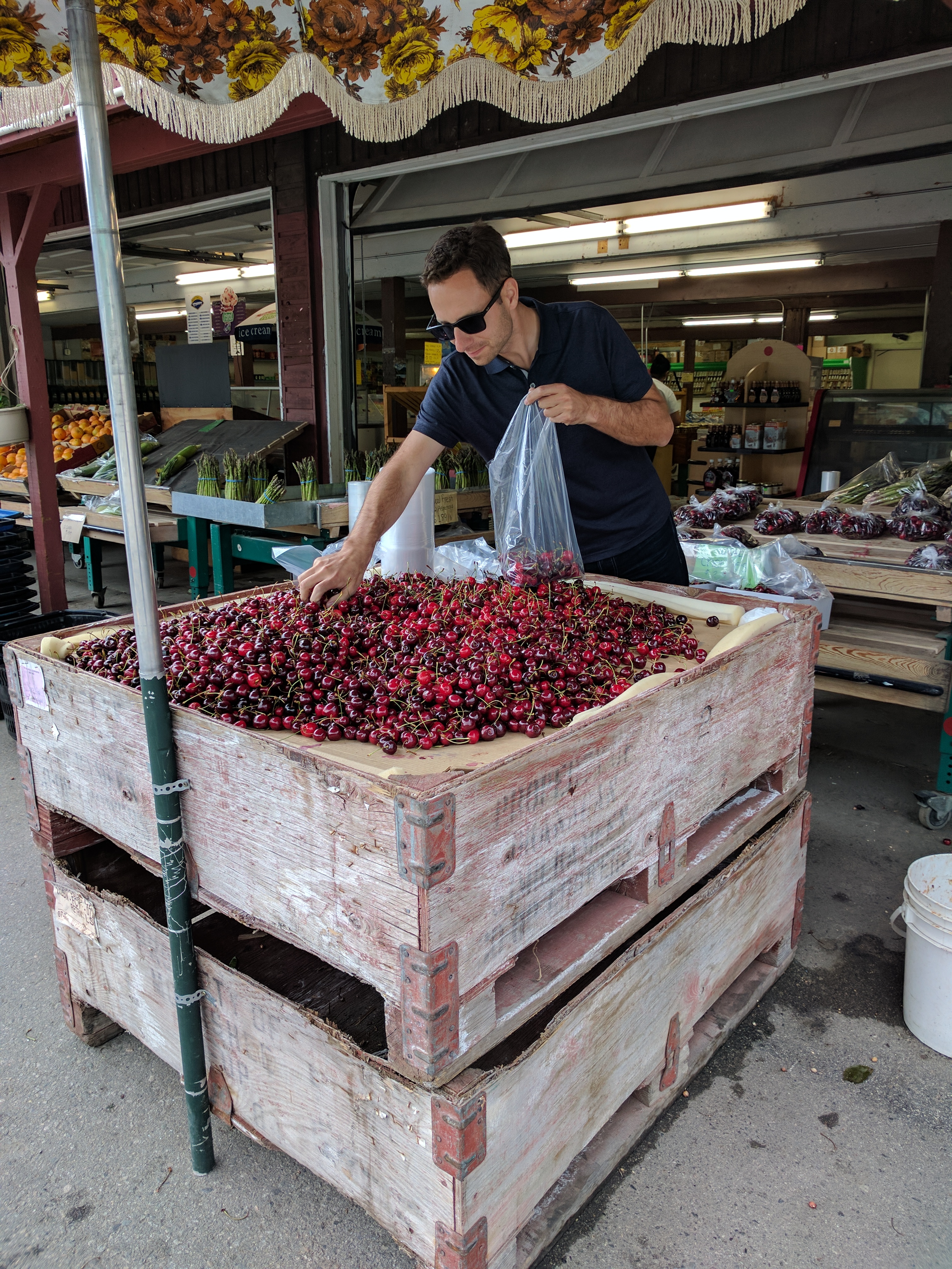 Jason buying cherries in Keremeos