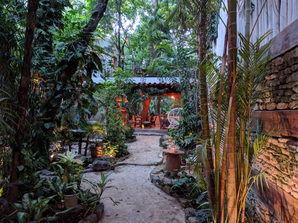 La-Semilla-Playa-Del-Carmen-Courtyard