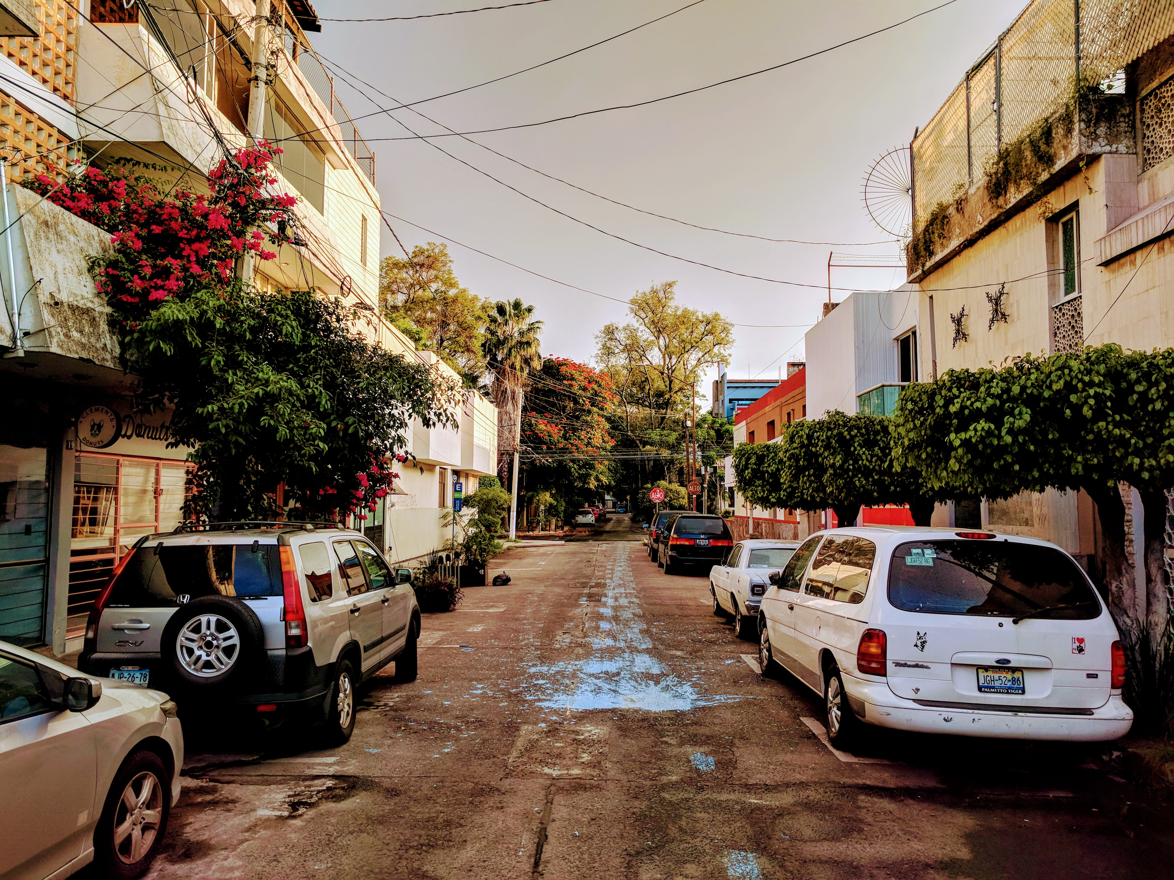 A sidestreet/neighbourhood in Guadalajara
