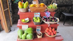 Exotic fruit at the South Kona Fruit Stand