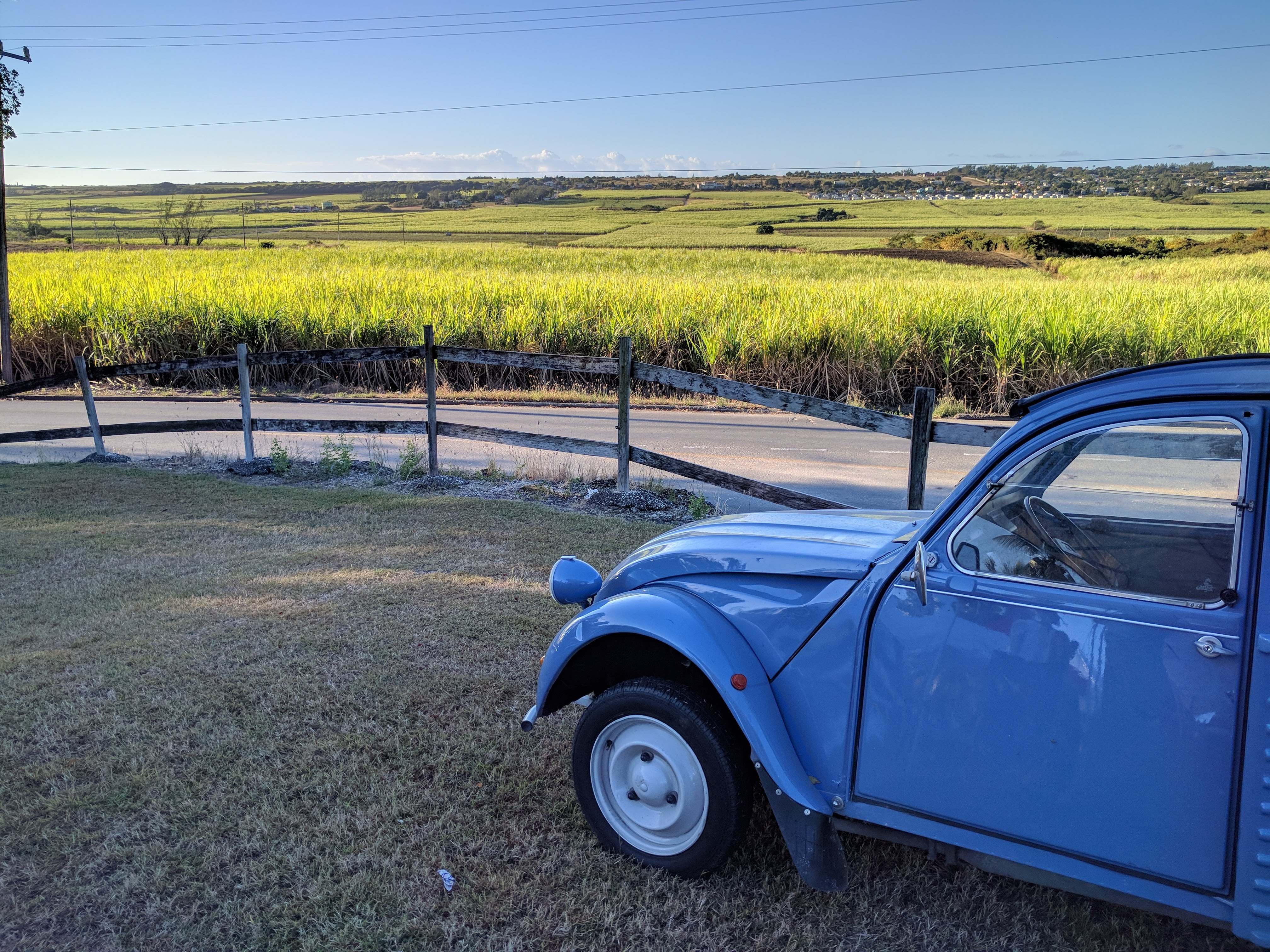 View of the Bajan countryside from Brighton Market