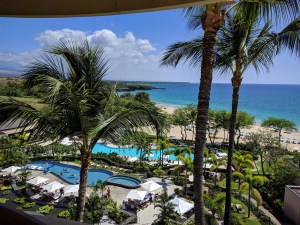 View of the adult and kid-friendly pools