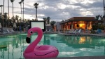 Setup for the movie by the pool at the Andaz Scottsdale