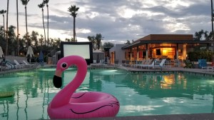 Setup for the movie by the pool at the Andaz Scottsdale