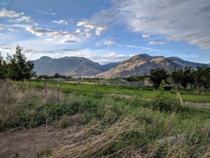 Scenery in Cawston down the road from Farmersdotter