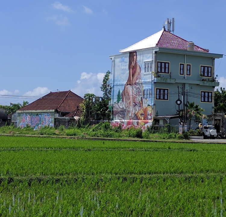 Rice field and home in Canggu