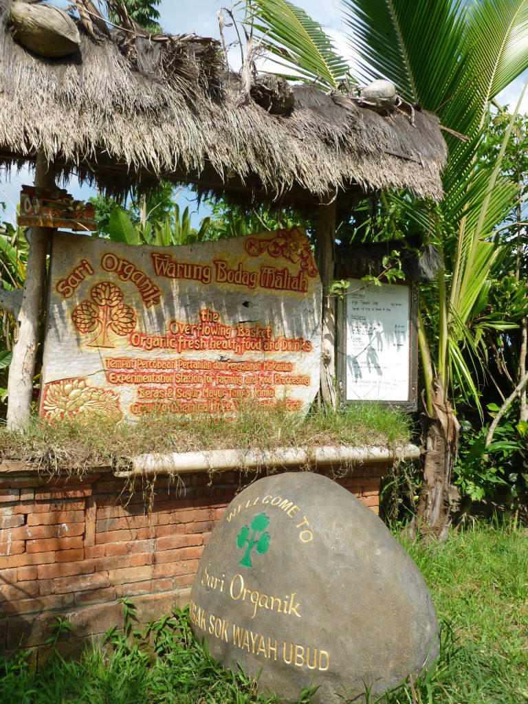 Sari Organik in Ubud