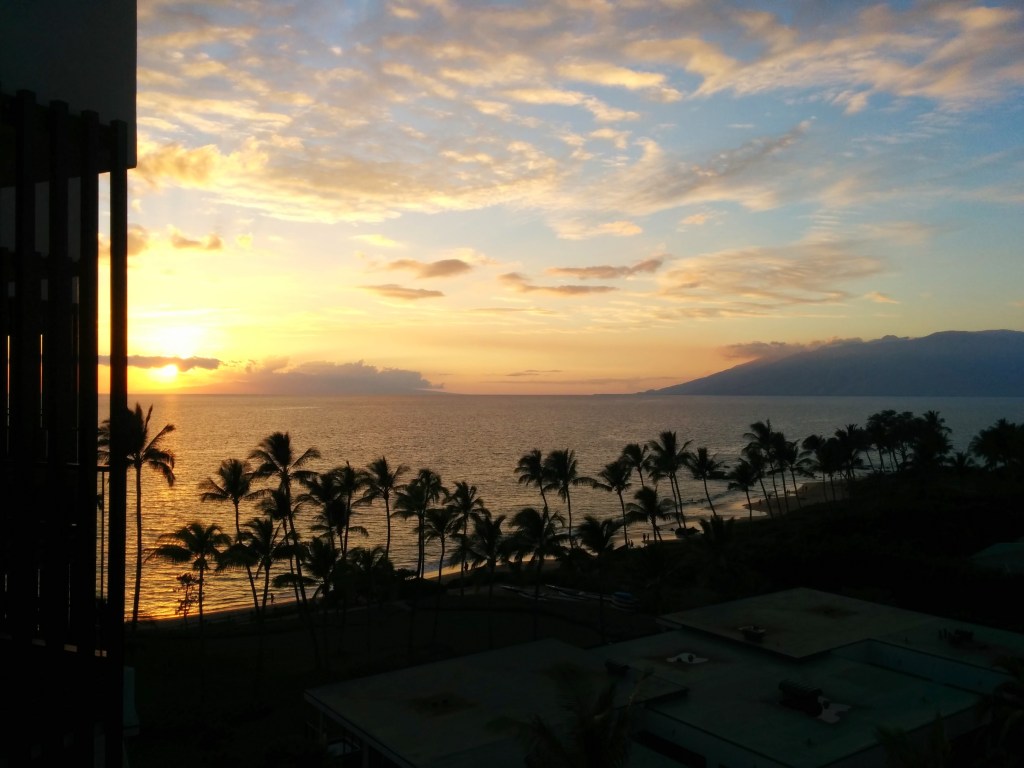 Ocean View Room Andaz Maui