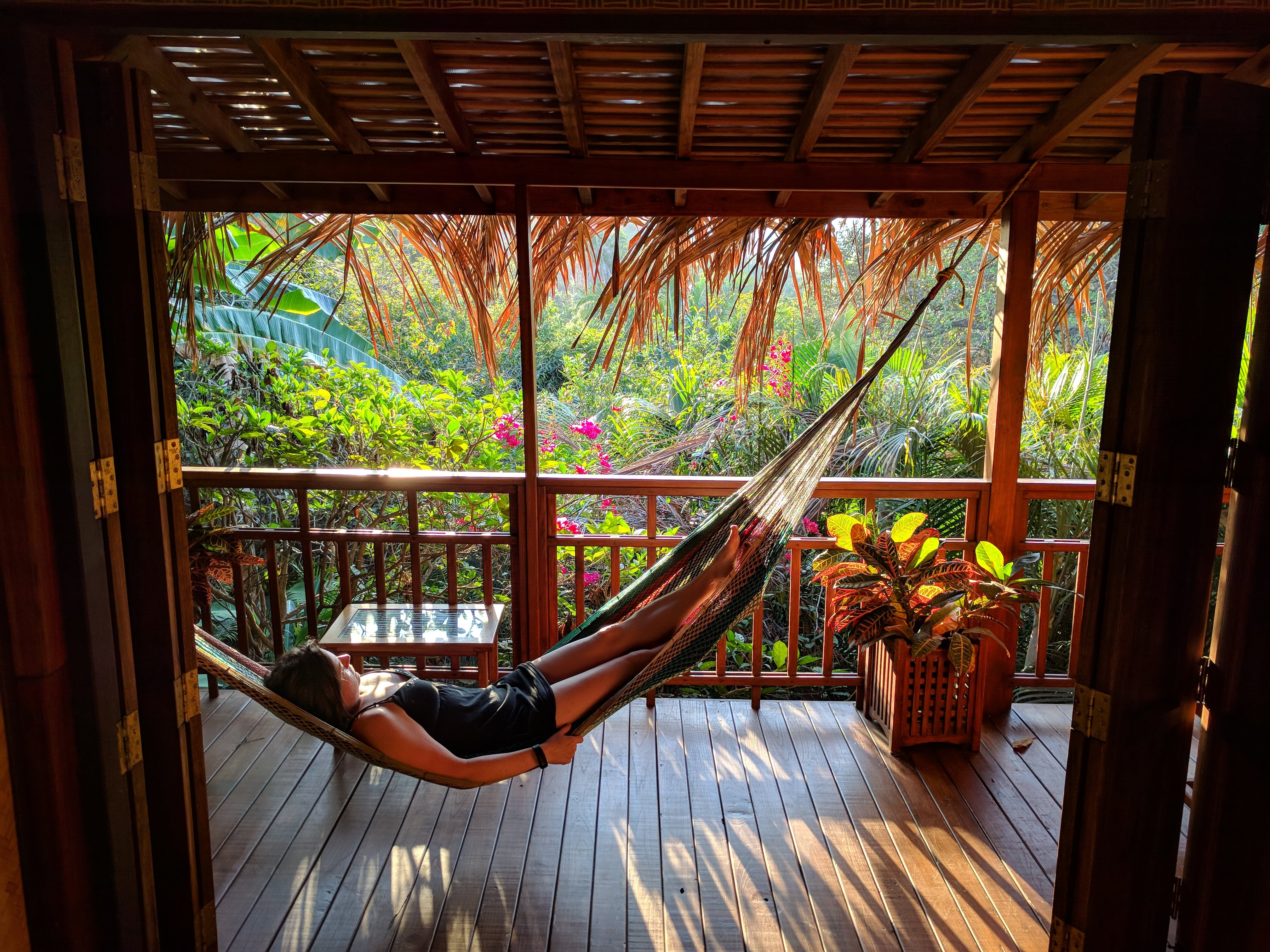 The hammock in Cenzontle