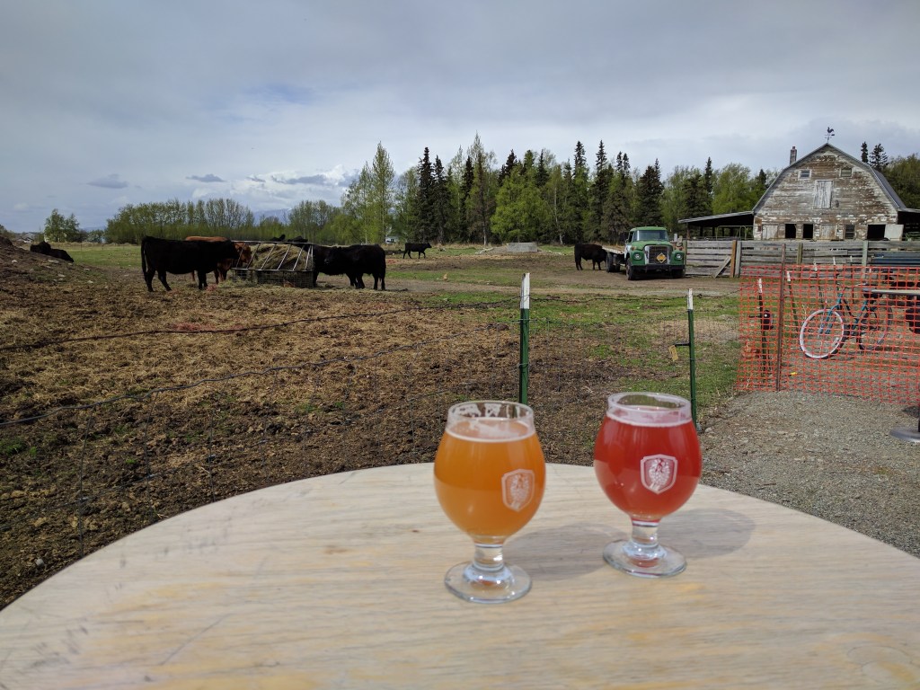 Beers at Bleeding Heart in Palmer Alaska