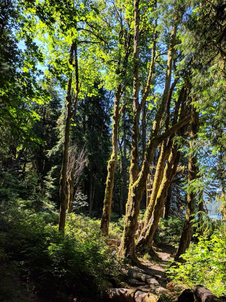 Buntzen Lake trail