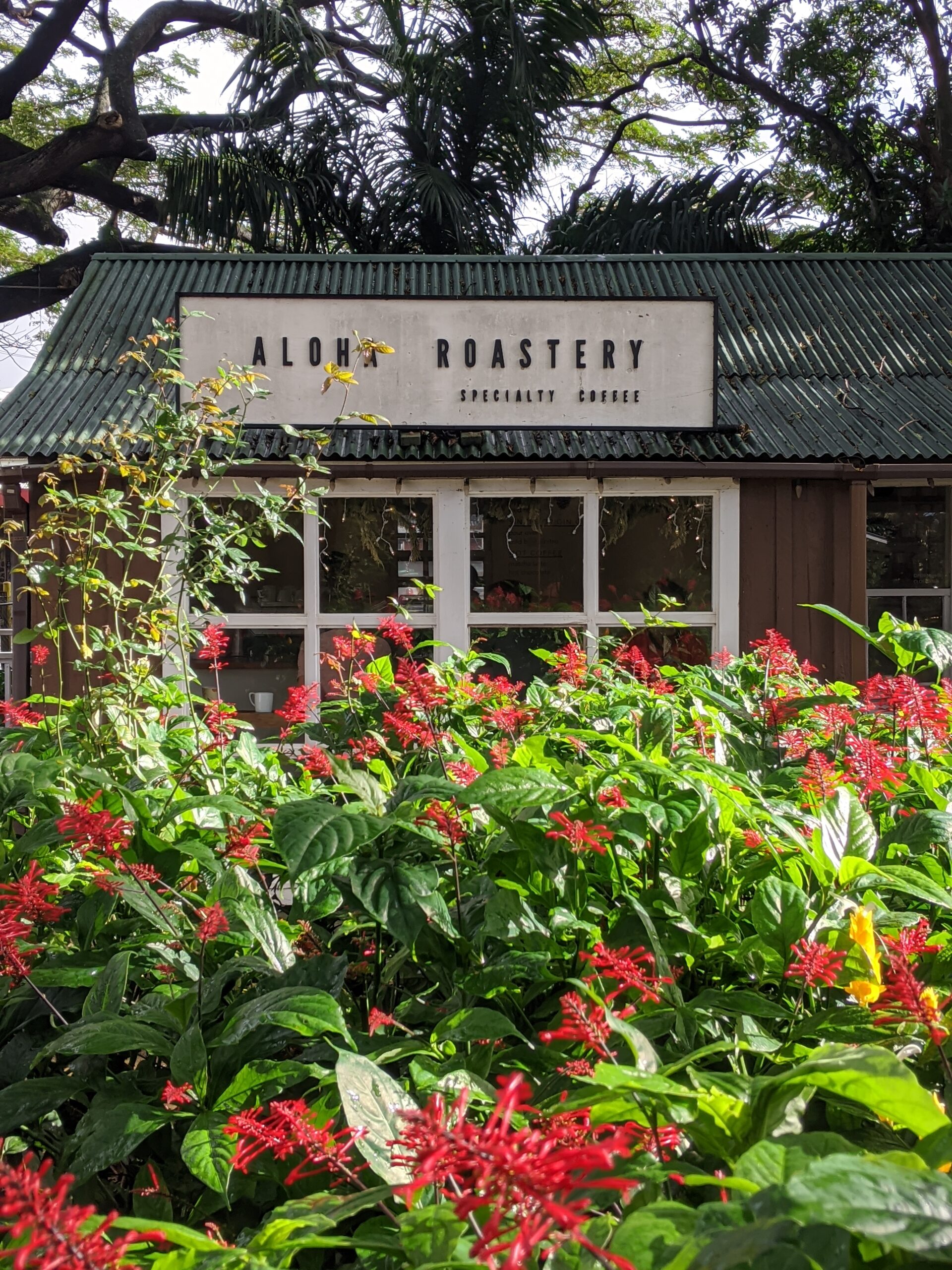Aloha Roasters in Koloa Kauai