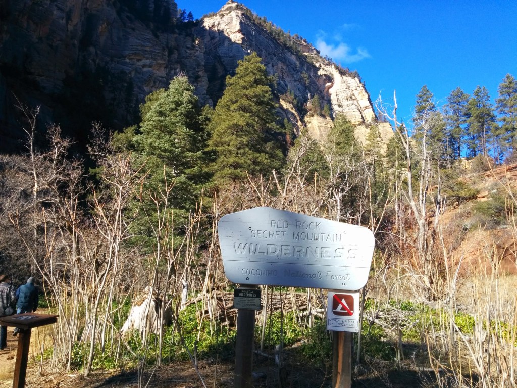 Coconino National Forest