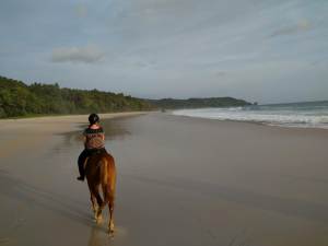 Sunset horse ride on the beach