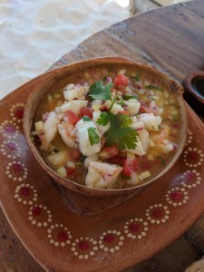 Ceviche on the beach at Encantada