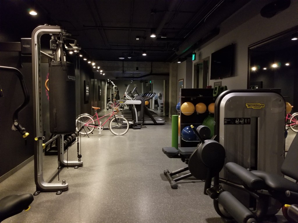 Equipment in the gym