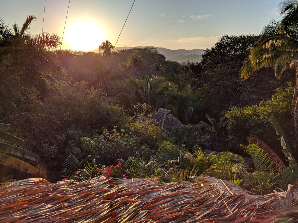 Cenzontle's view from the shower