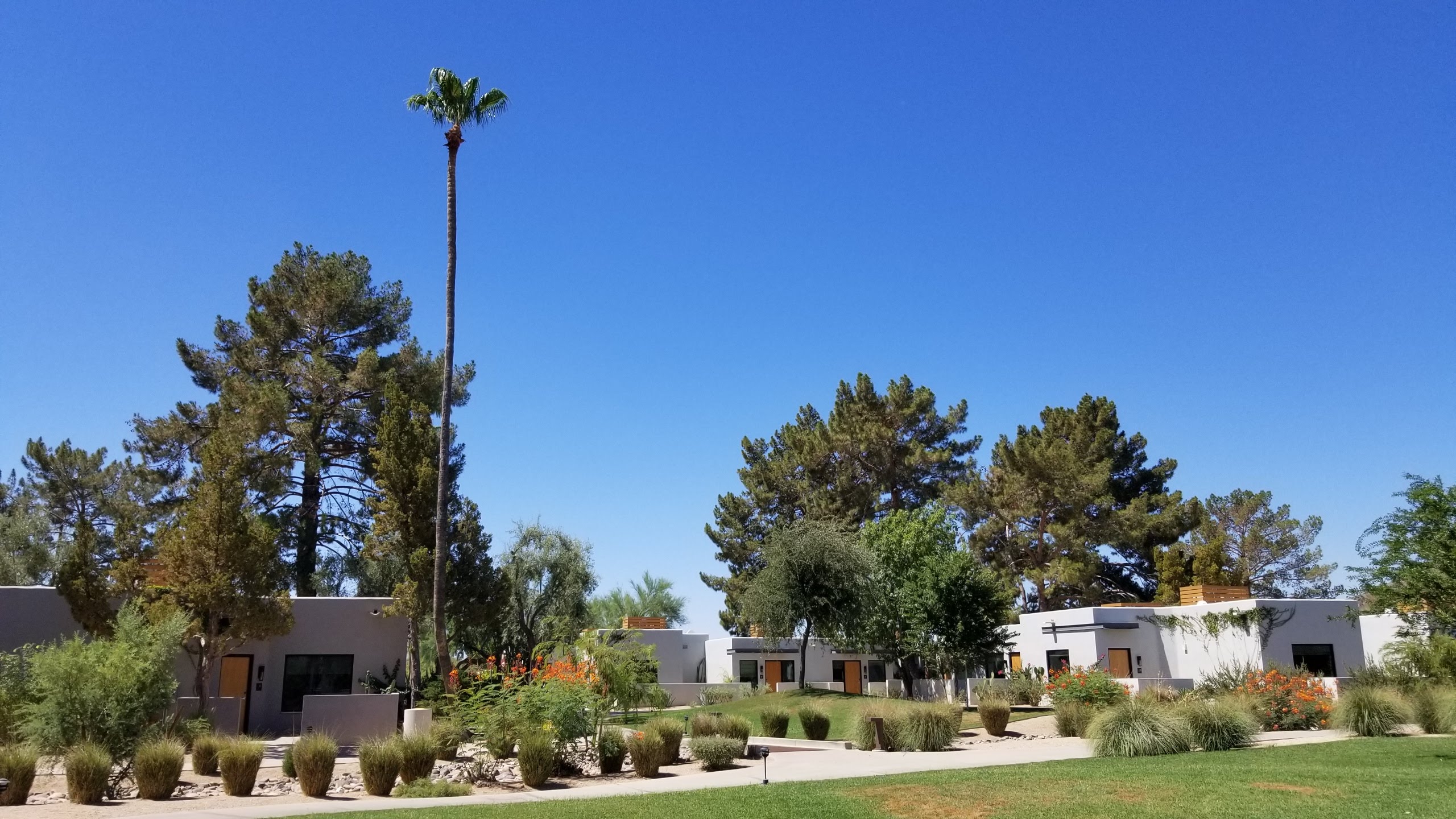 Landscaping at the Andaz Scottsdale