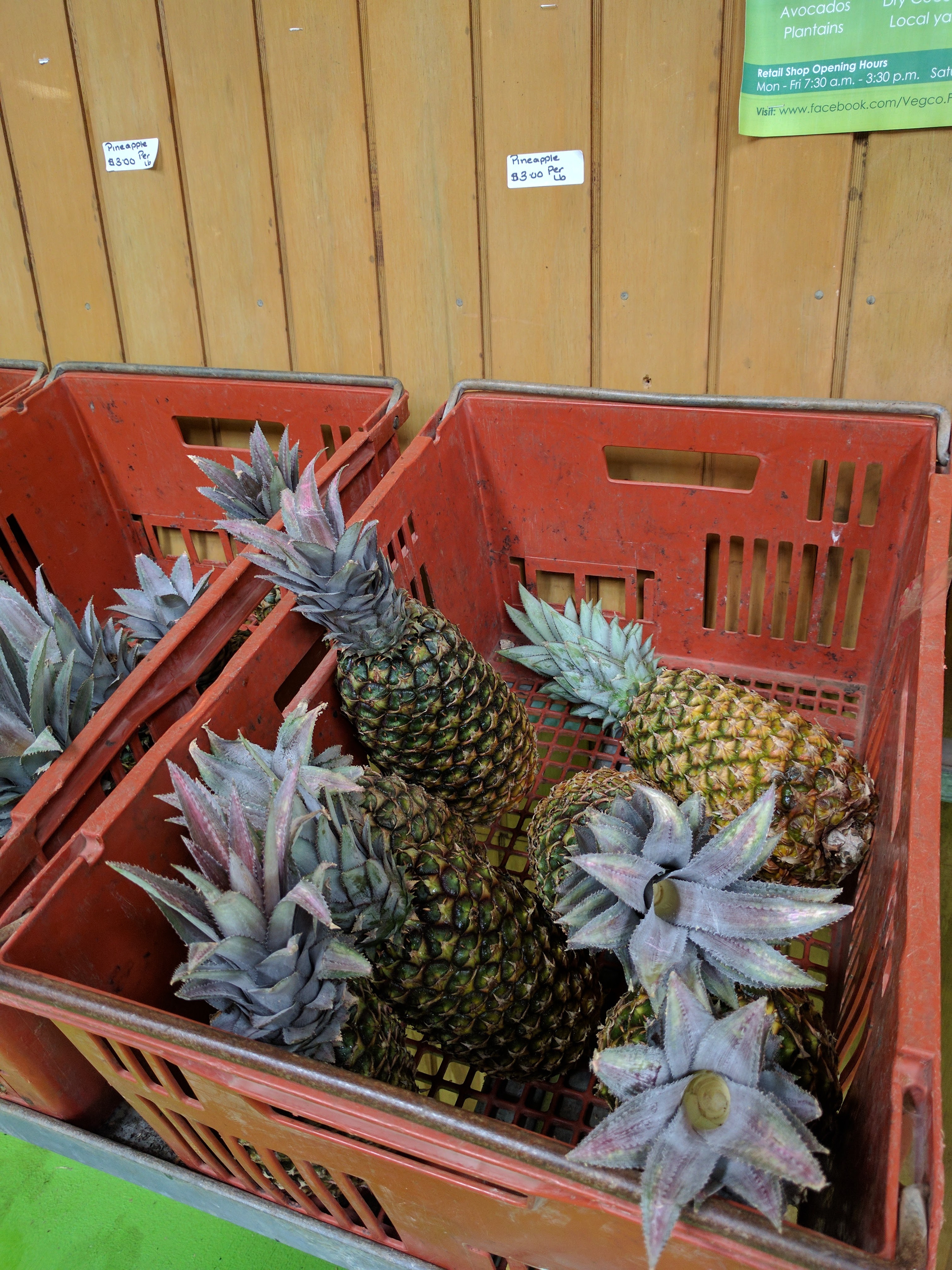 Bajan pineapple from the market