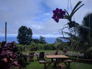 View from the outdoor dining area at the Waipio Cookhouse
