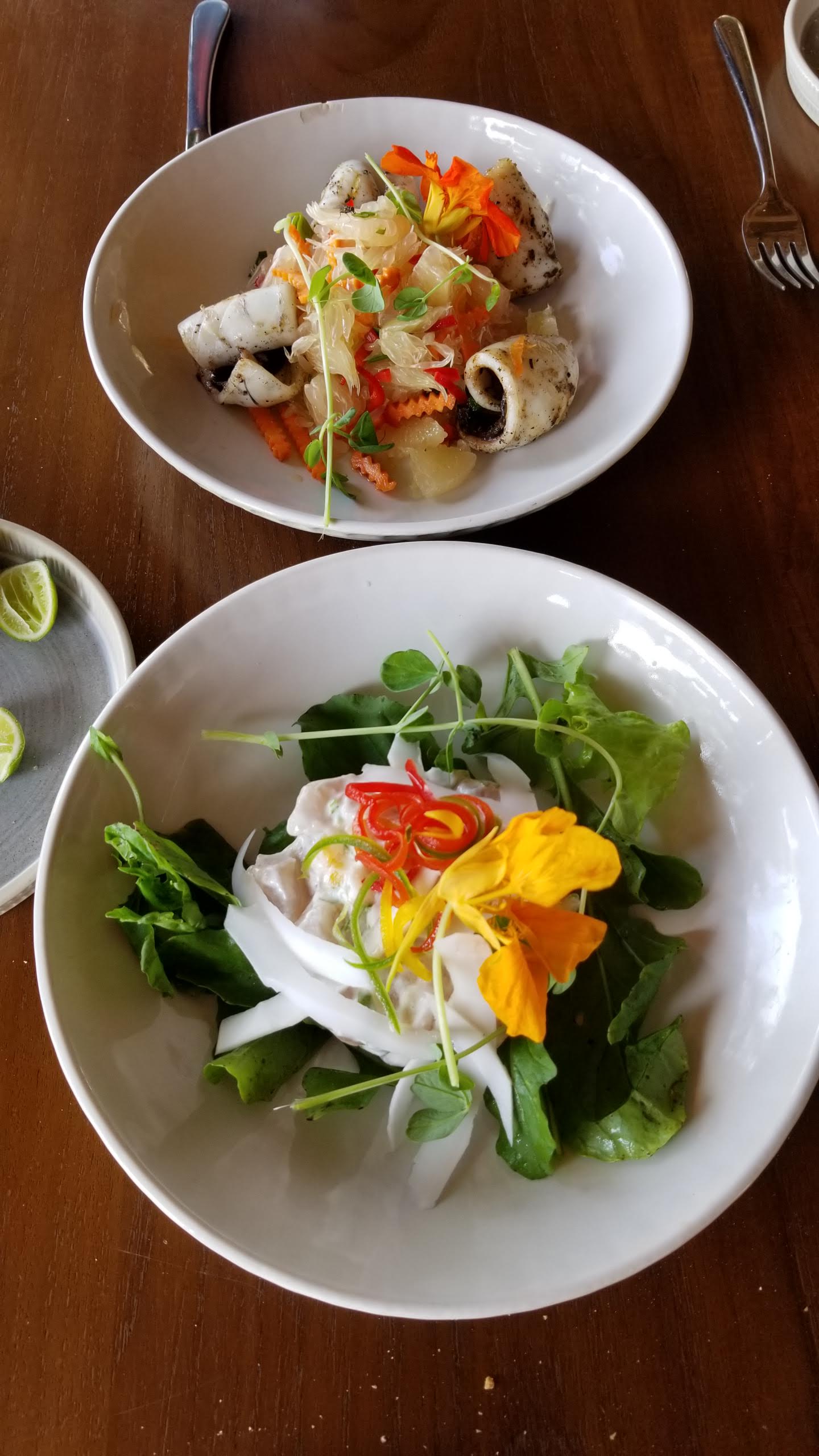 Squid salad and ceviche