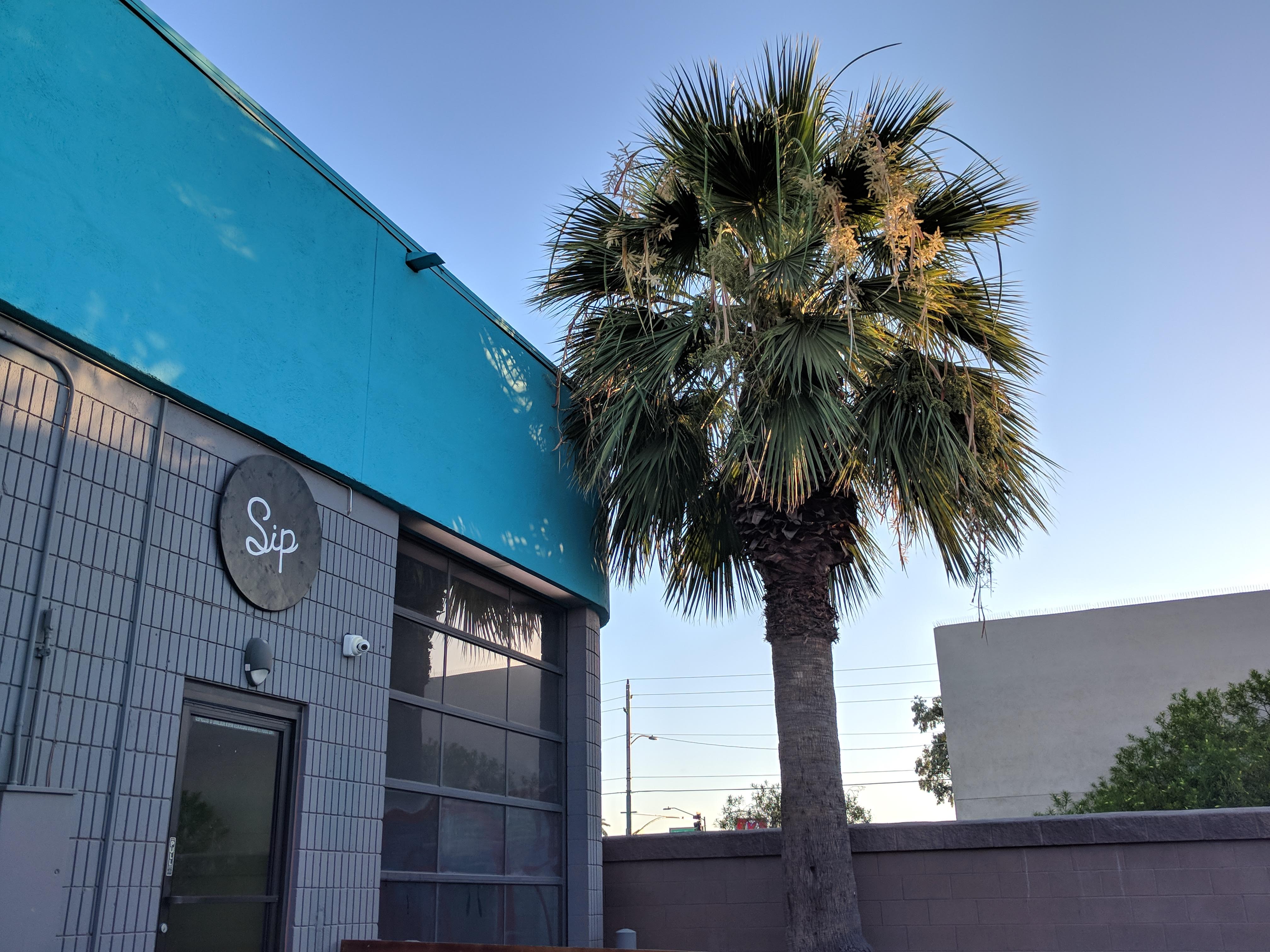 Sip Coffee and Beer Garage