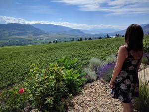 View from the room at Hester Creek