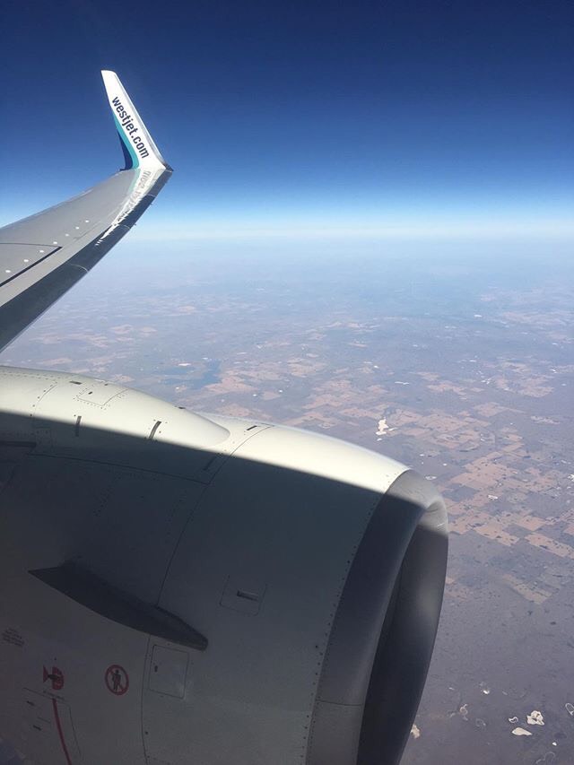 WestJet view from the wing
