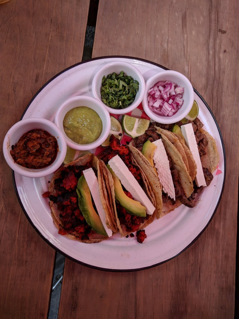 Jardin-Chapultepec-Mexico-Tacoz