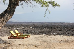 Lounge chairs at the Lava Lava Beach Club
