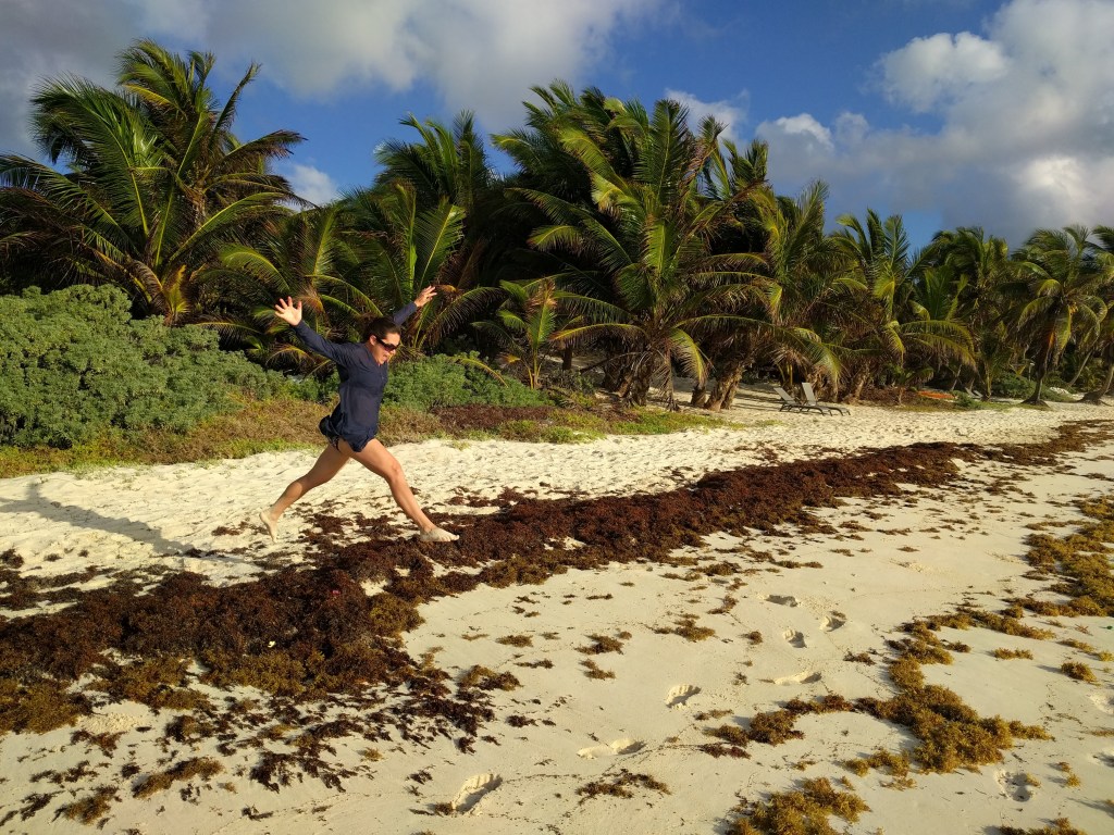 Sargassum Seaweed in the Caribbean: Will it ruin my beach&nbsp;vacation?