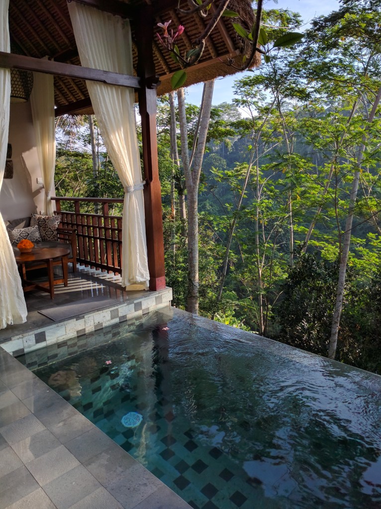 Infinity pool at Tejaprana