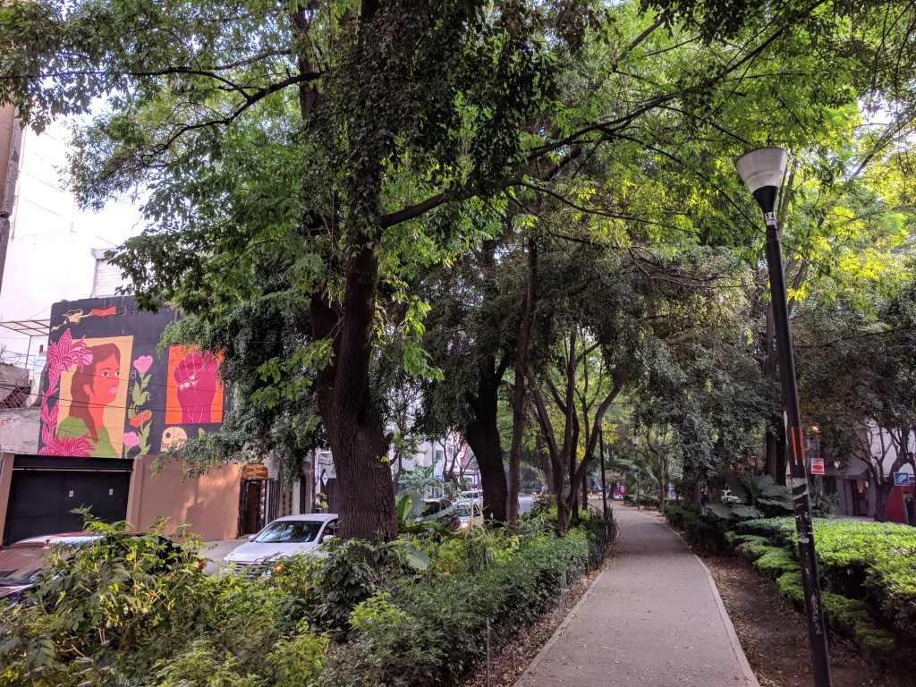 Roma-Norte-Walking-Mexico