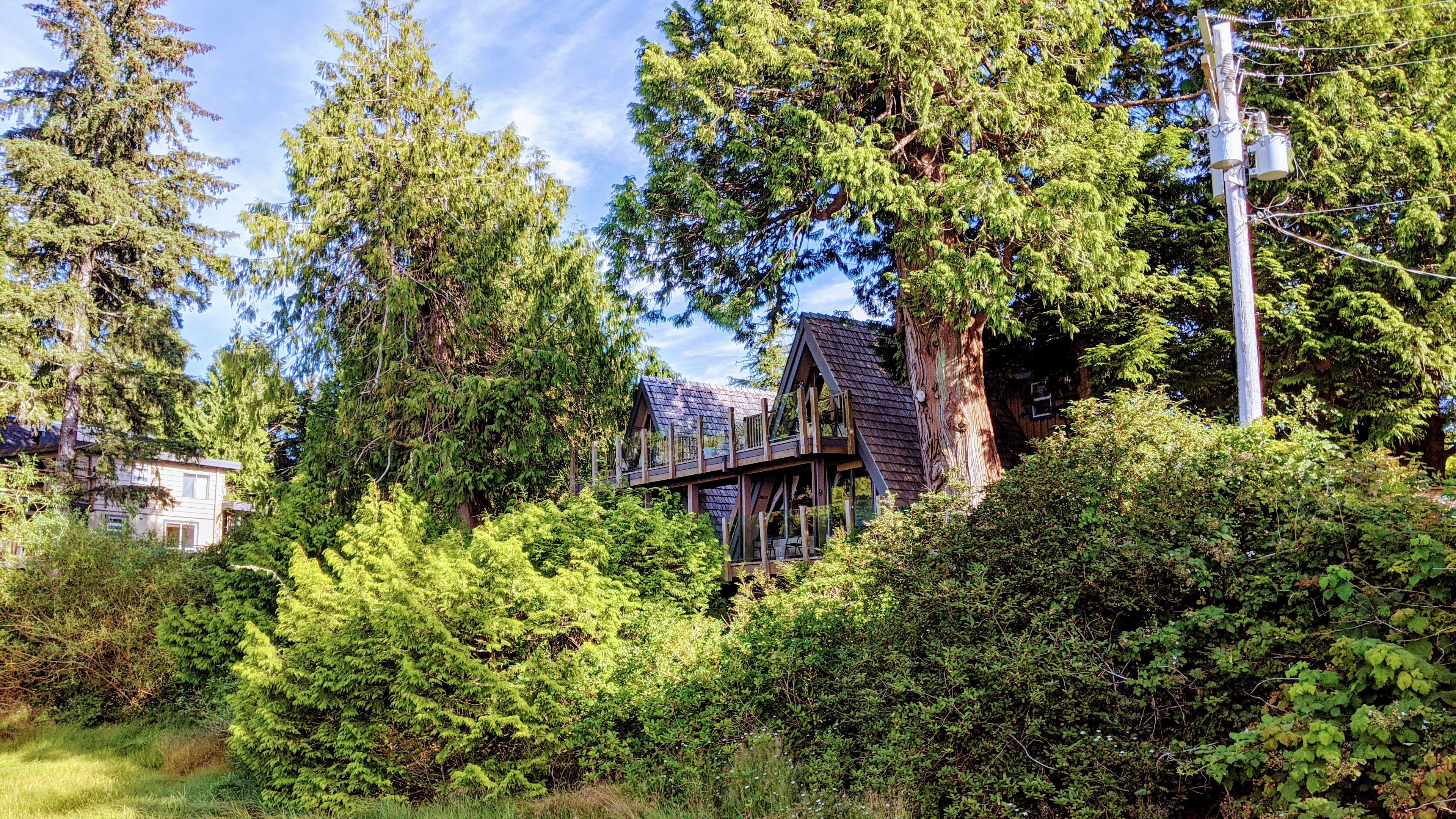 The Shoreline in Tofino
