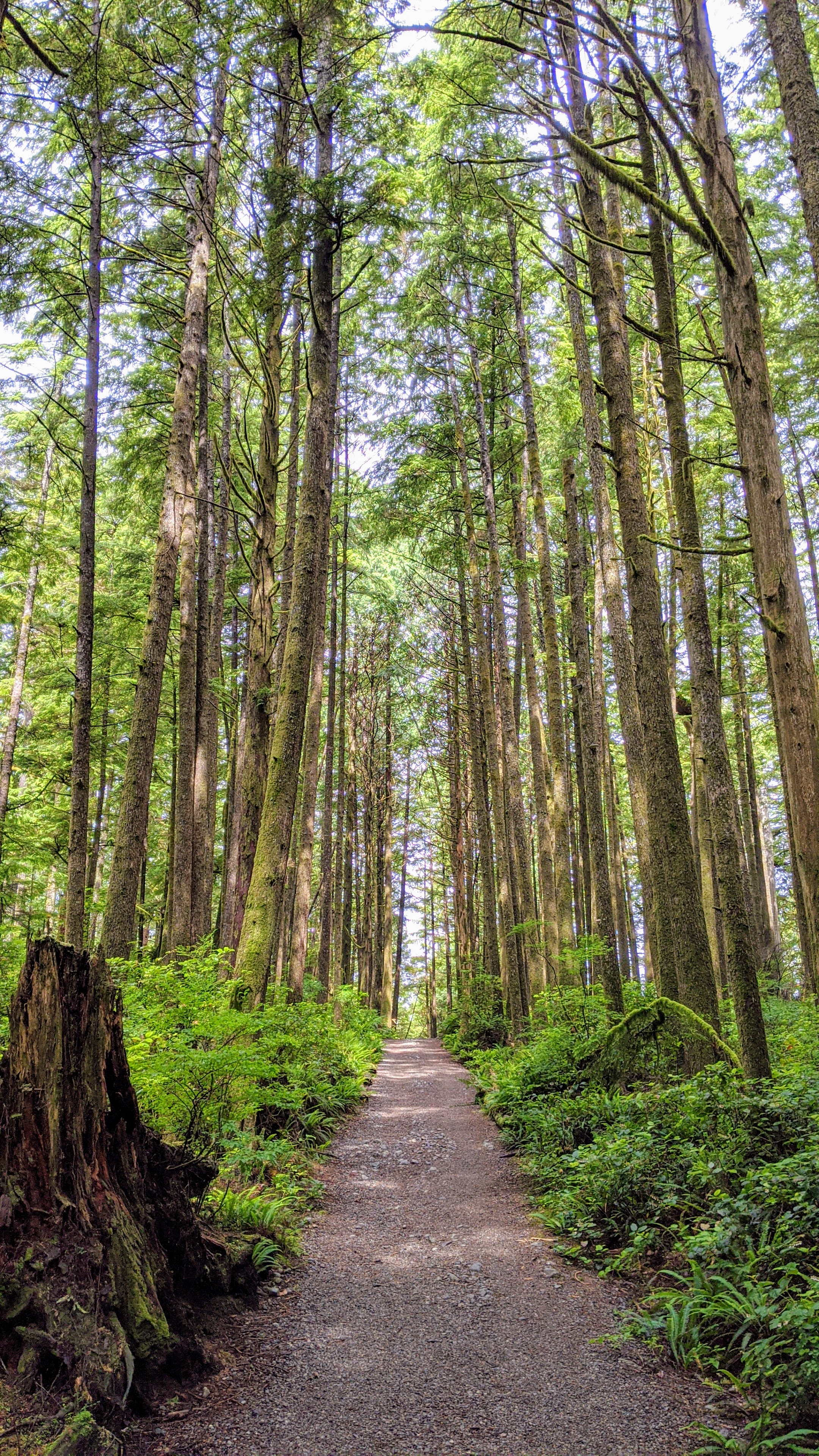 The Half Moon Bay Trail