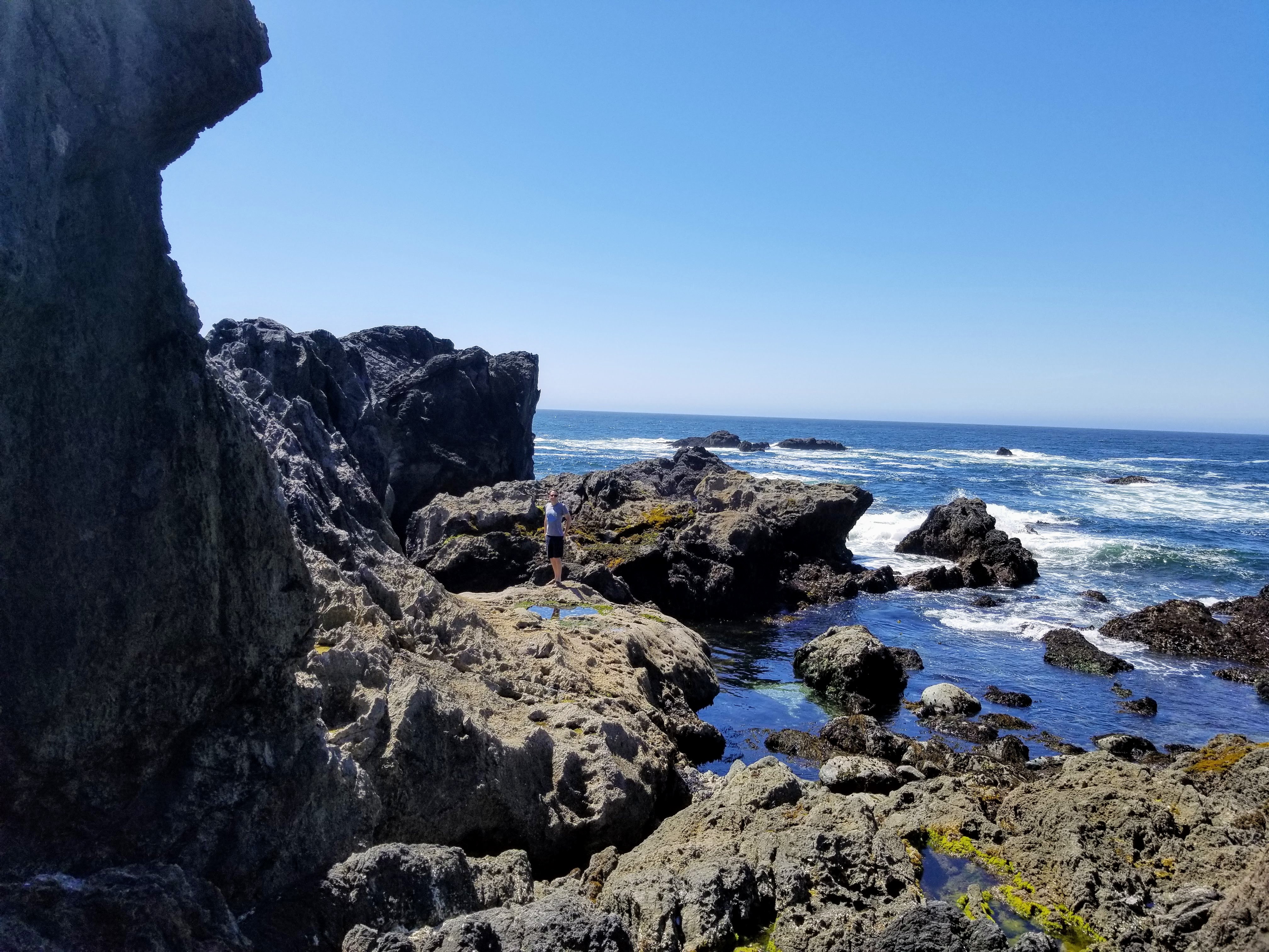 Jason checking out tidepools on the Wild Pacific Trail