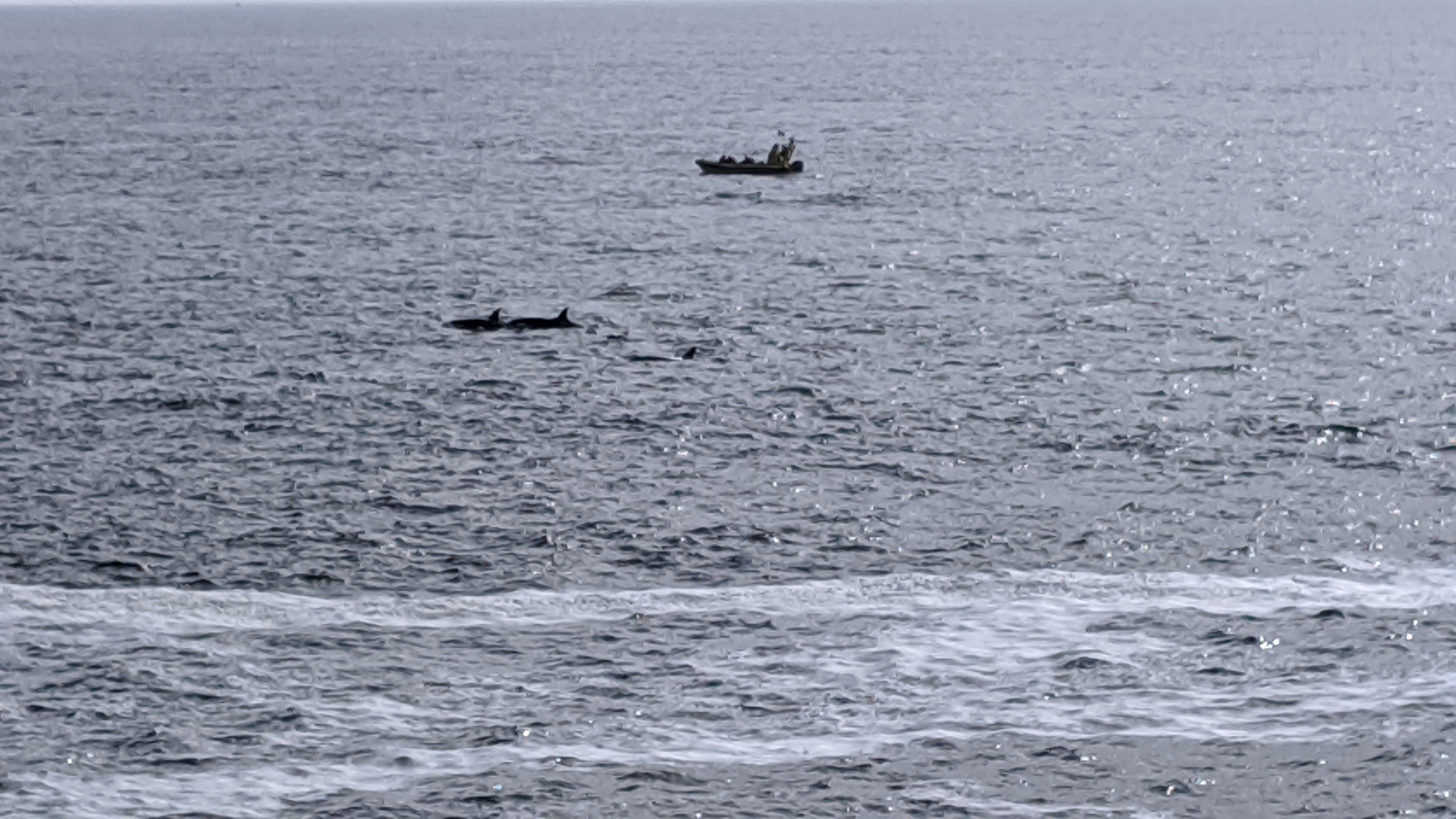 Jason checking out tidepools on the Wild Pacific Trail