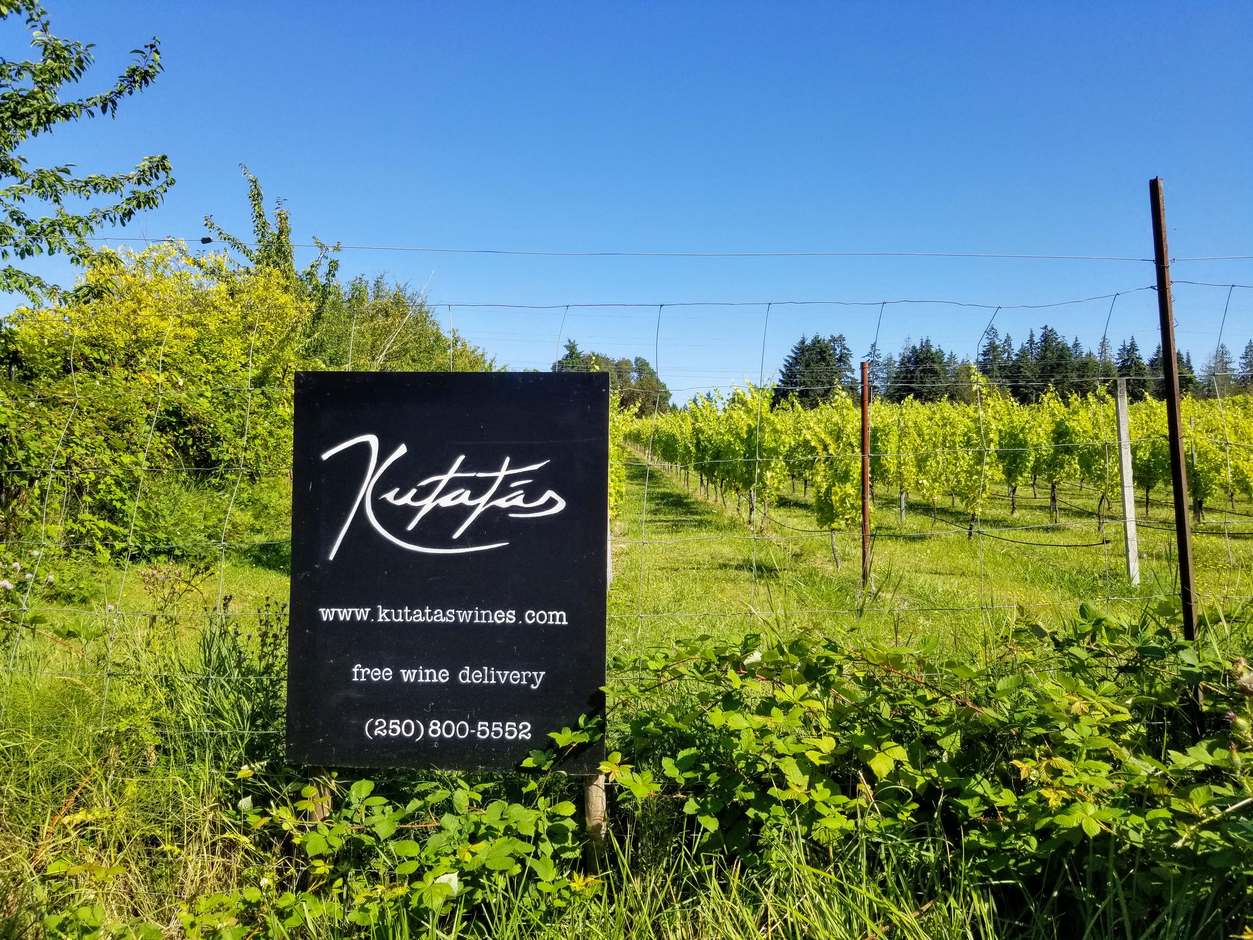 Kutatas Vineyard