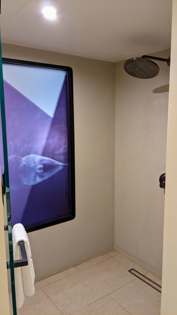 Aegon Mykonos Infinity Suite Revive: shower (it's more of a shower room)