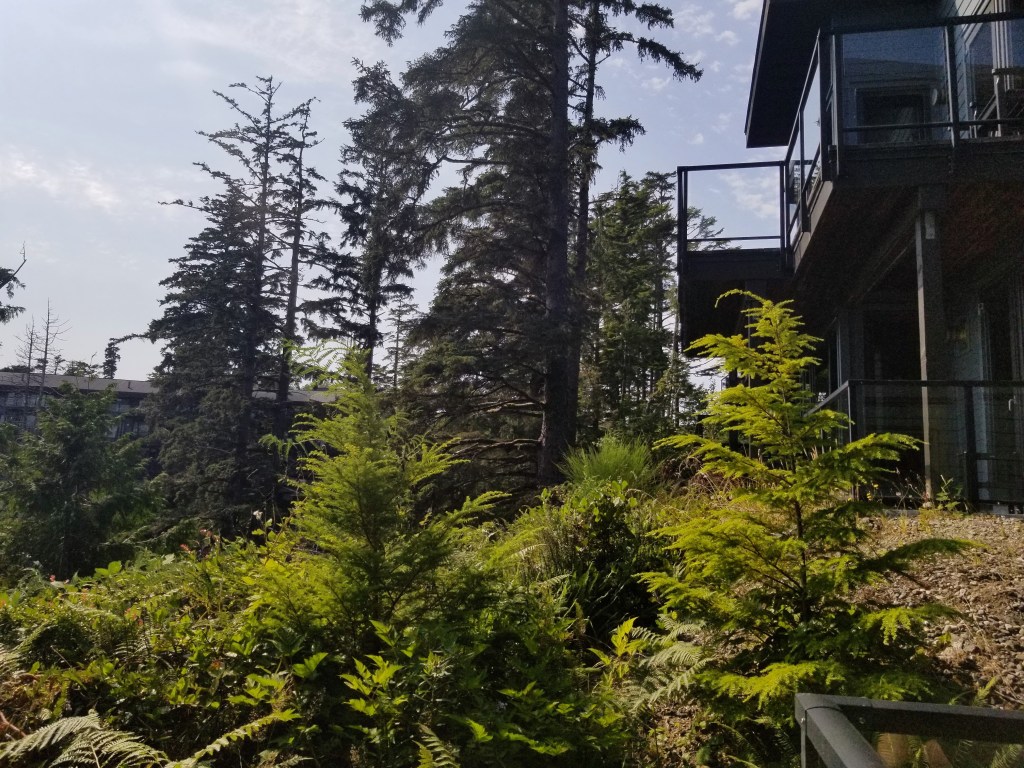 Black Rock Ocean Front Resort: Trail Studio room view from balcony 