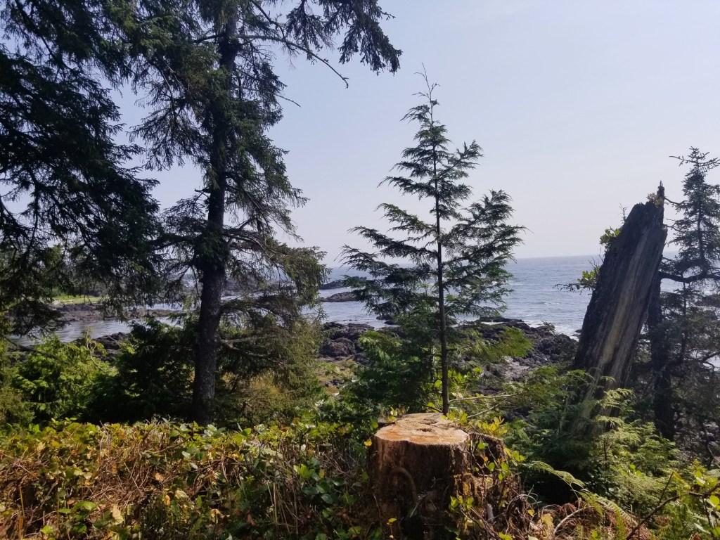 Black Rock Ocean Front Resort: Trail Studio room view from balcony 