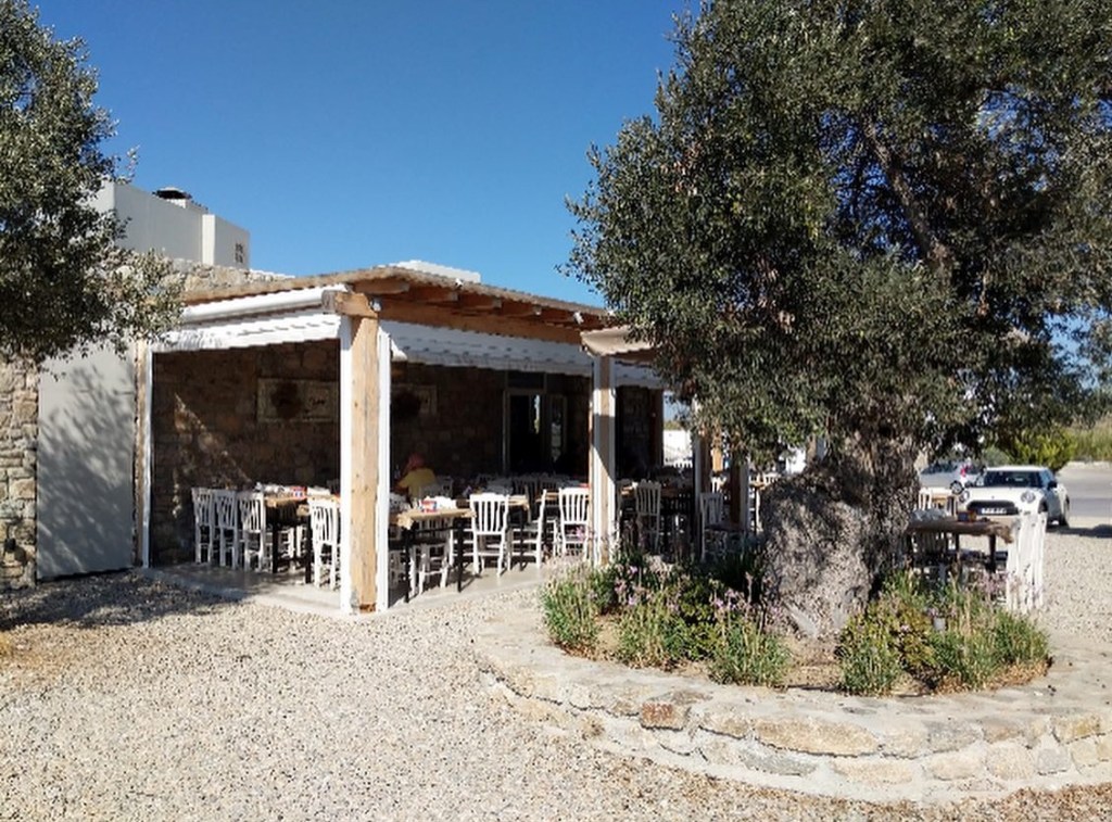 Friano Taverna: patio and an olive tree