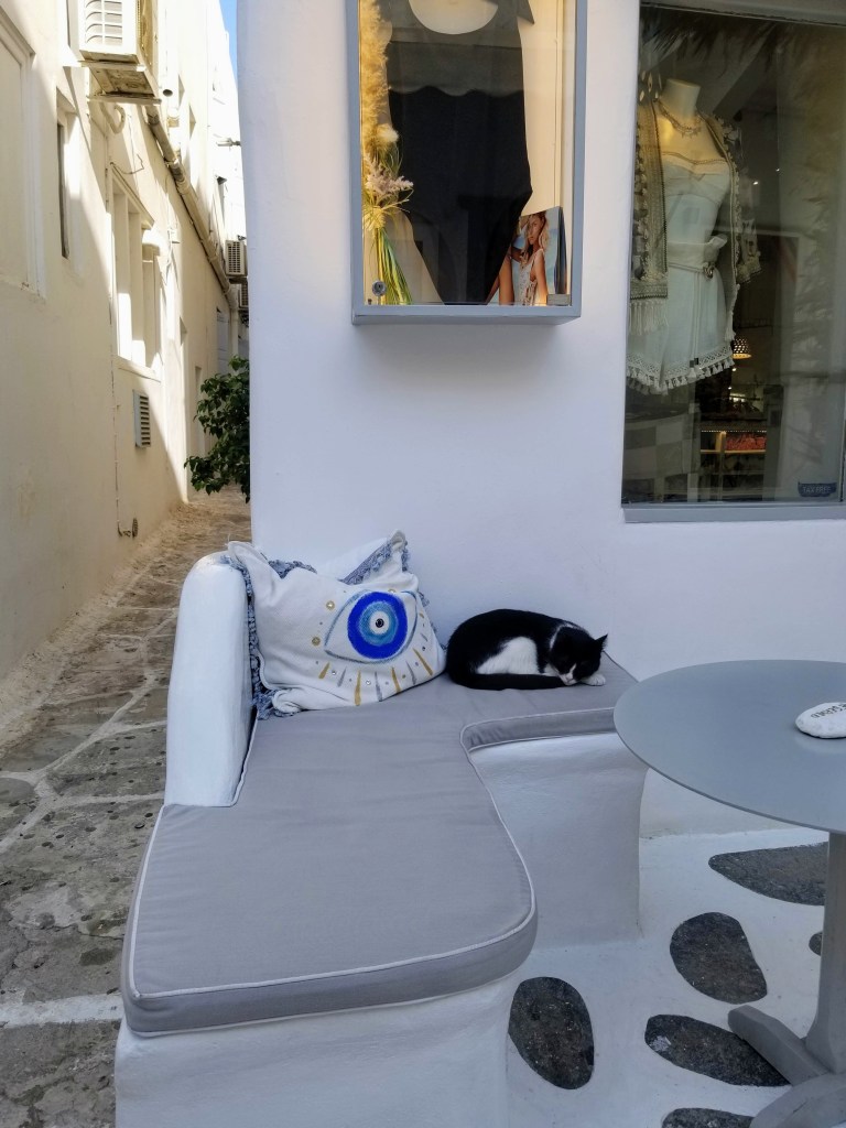 Mykonos Town: a shop and a cat napping