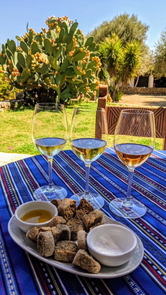 Manousakis: wine tasting with rusks, olive oil and sea salt