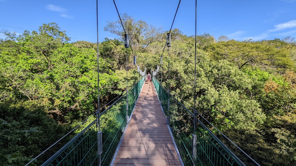 Suspension bridge at Rio Perdido